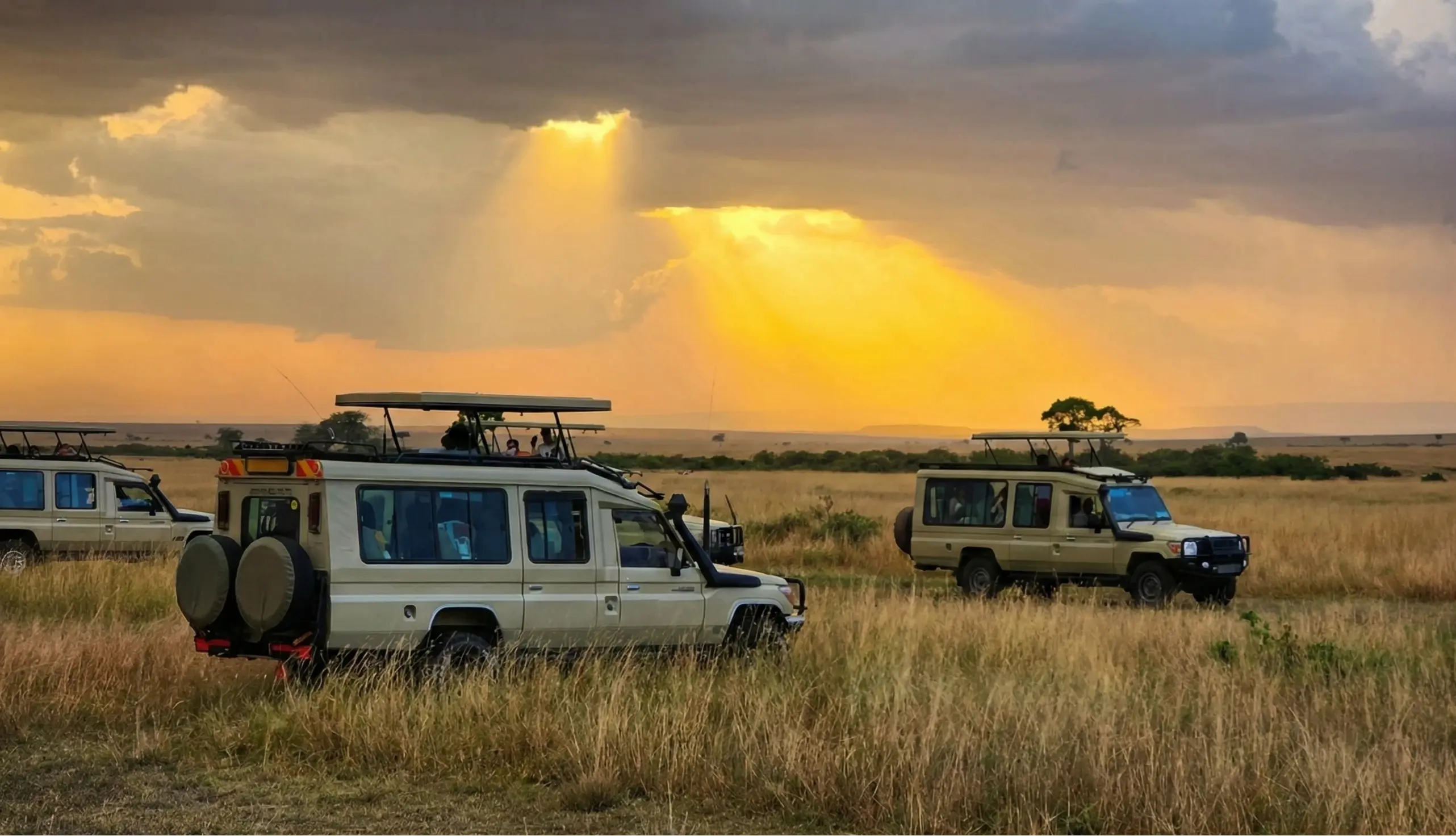 Safari vehicle 1
