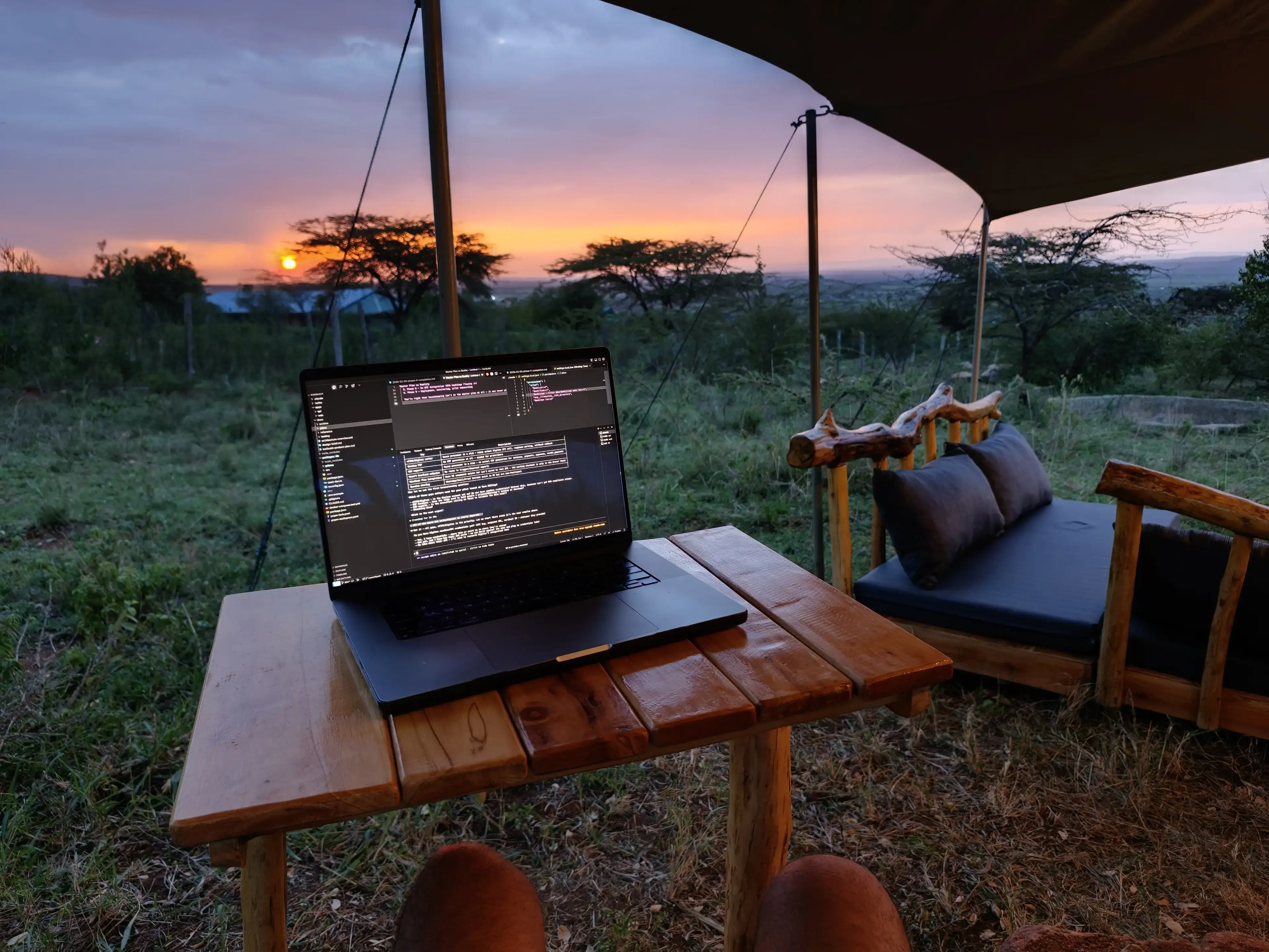 Working under the canopy at sunset