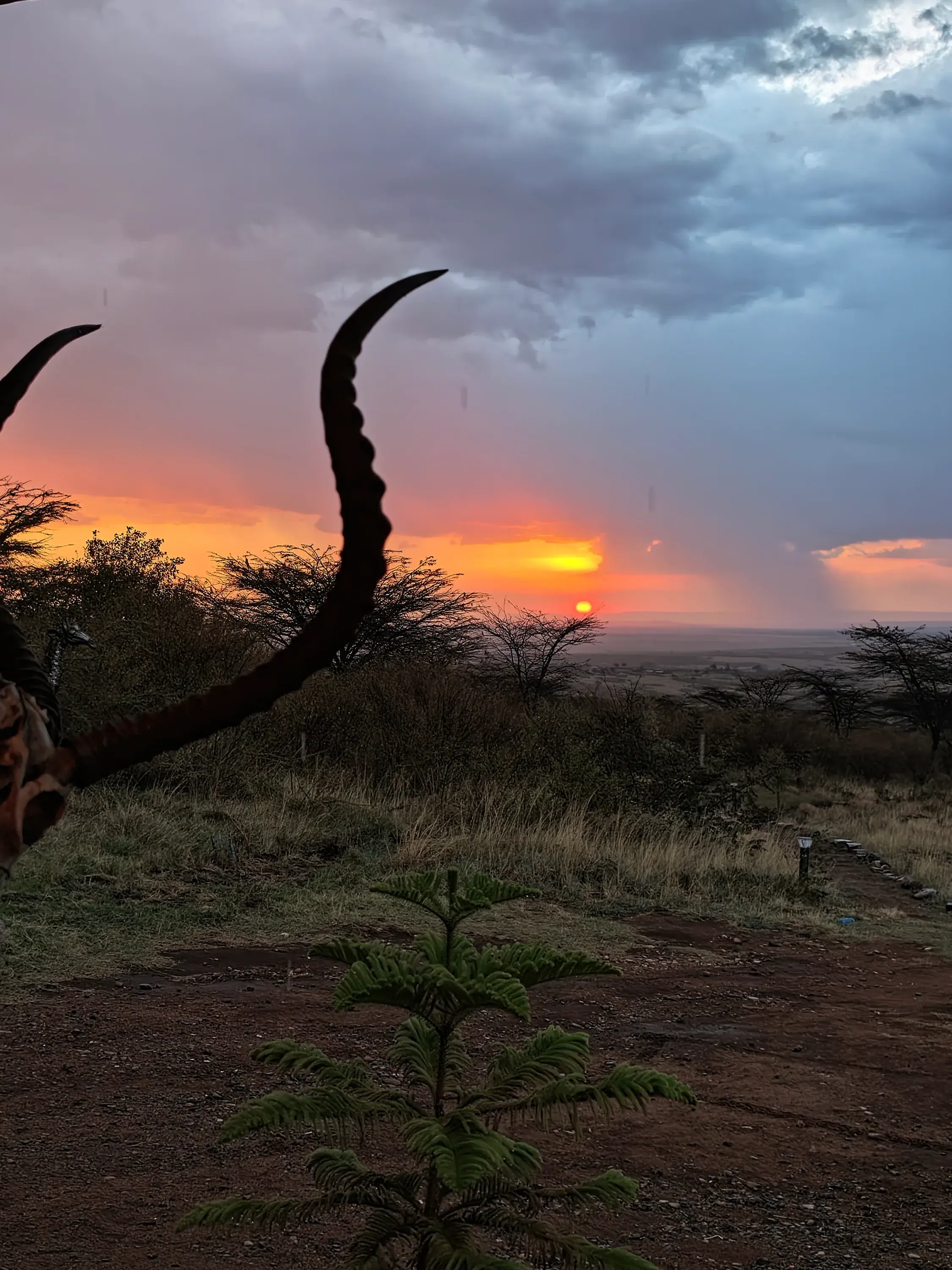 Storm clouds and sunset over the plains from reception, framed by antelope horns