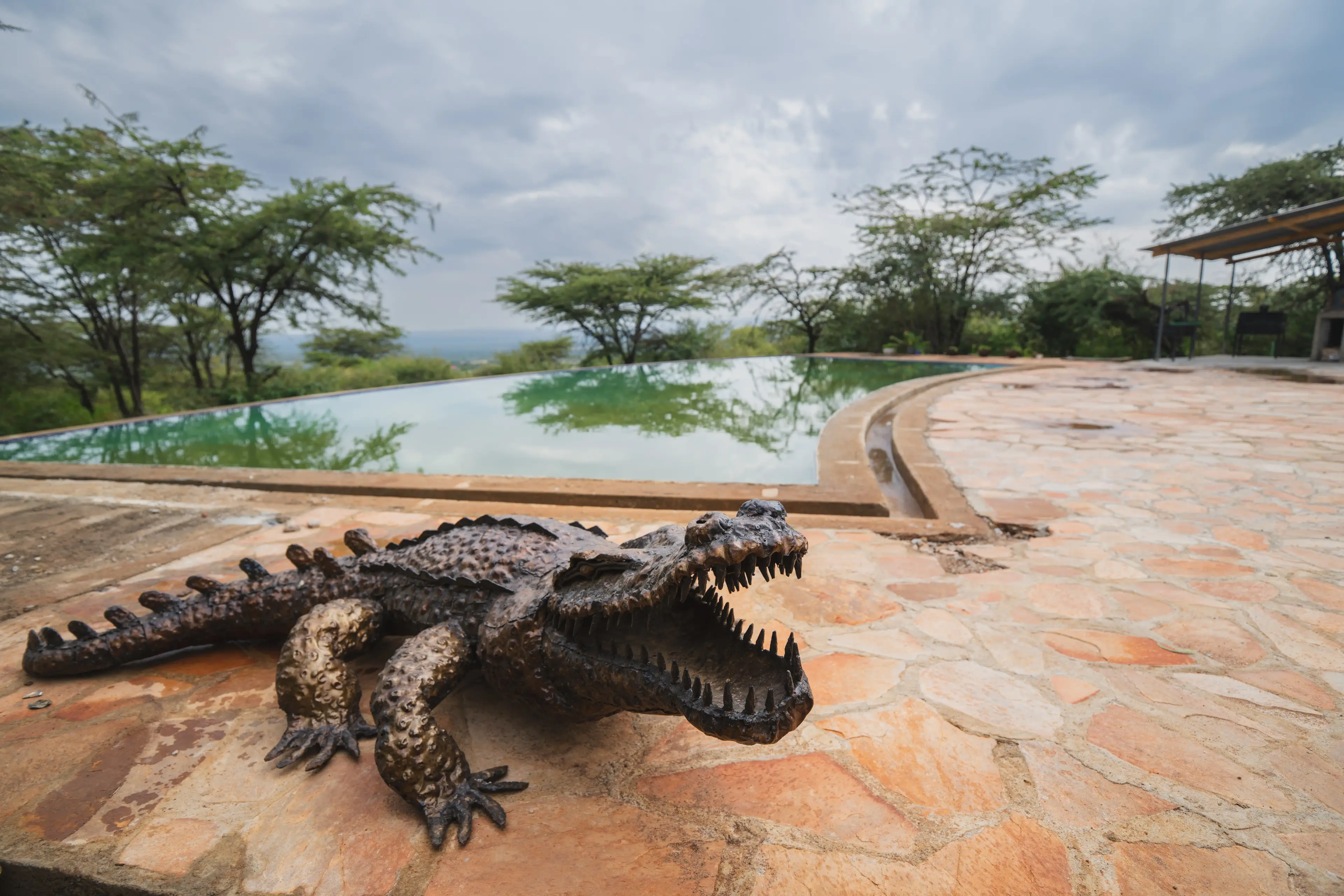 Crocodile sculpture on the pool terrace