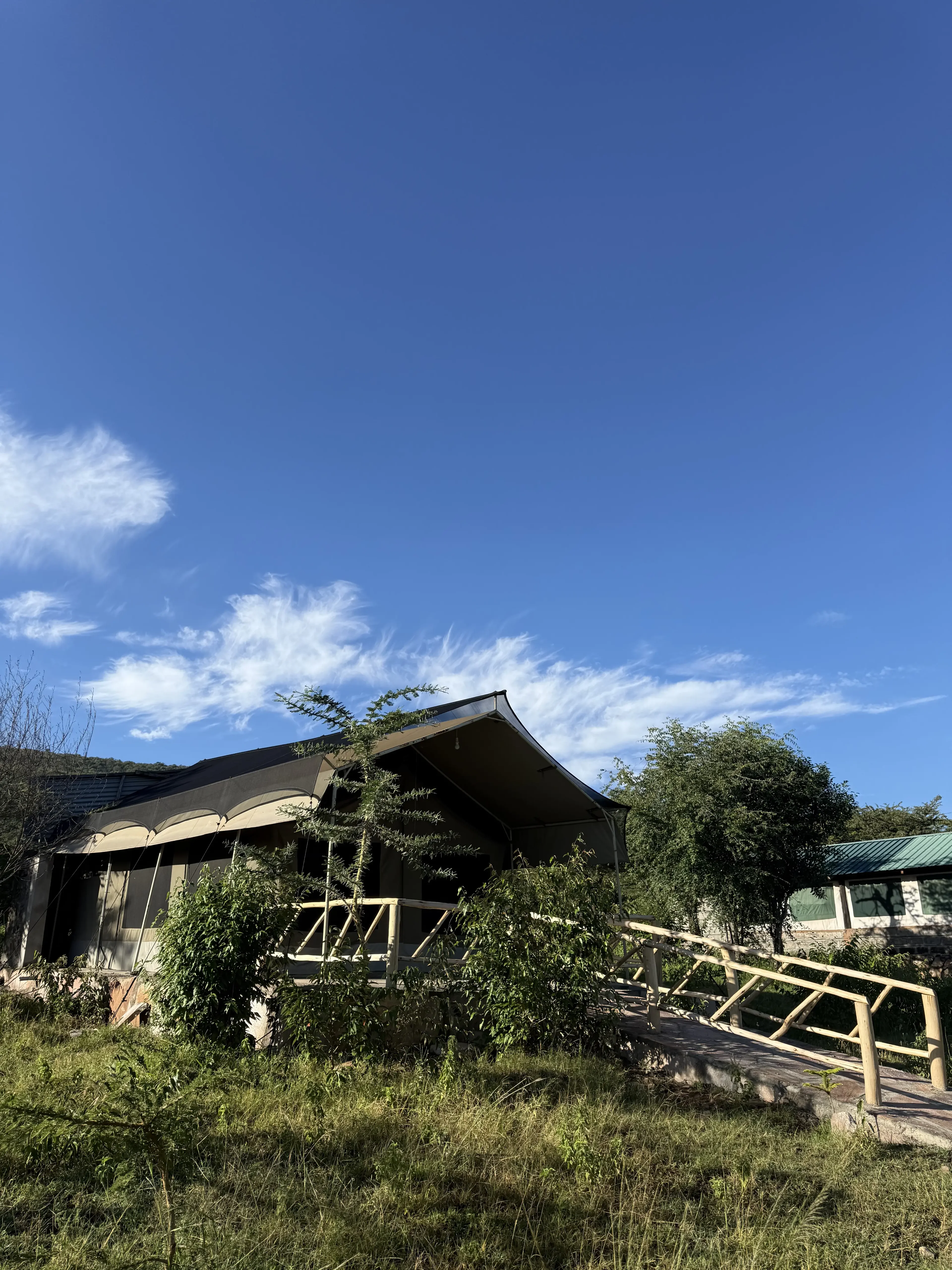 Private rooms and tents at Mara Hilltop 5