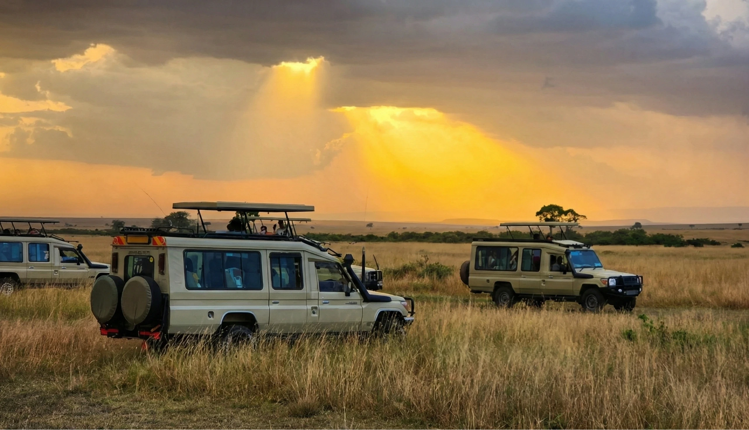Safari Landcruiser 1