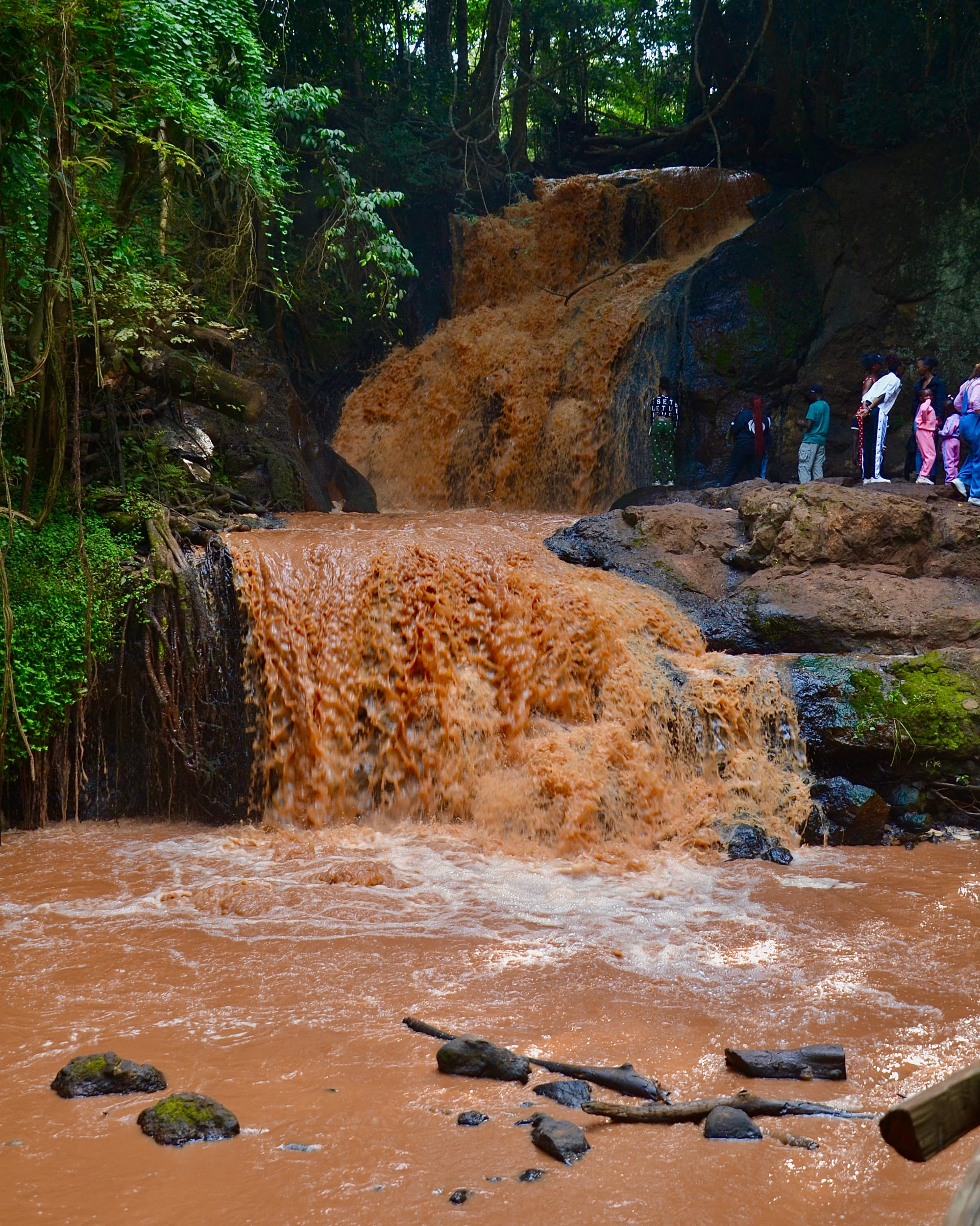 The waterfall inside Karura Forest, Nairobi