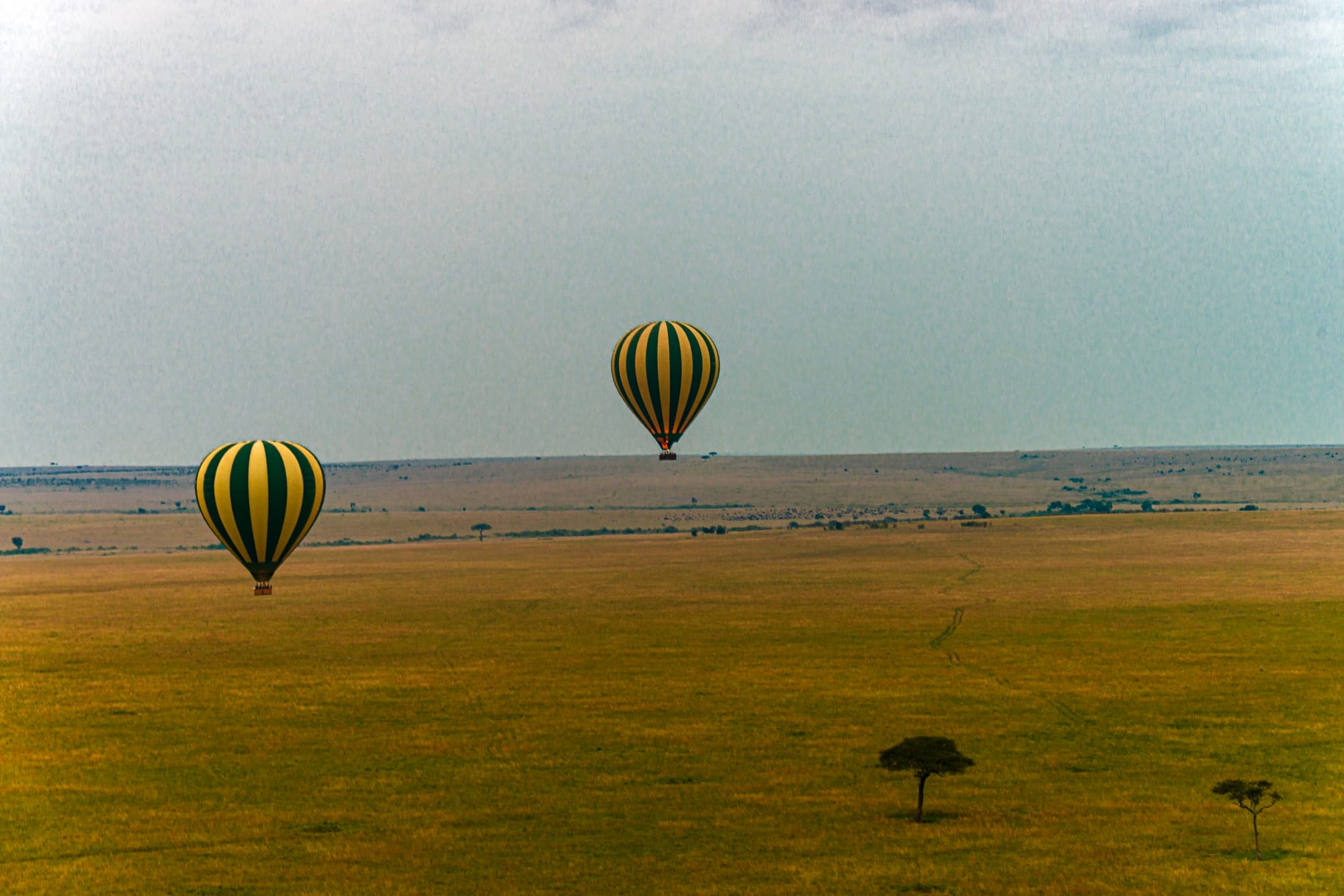 Hot-air balloons over the Maasai Mara plains