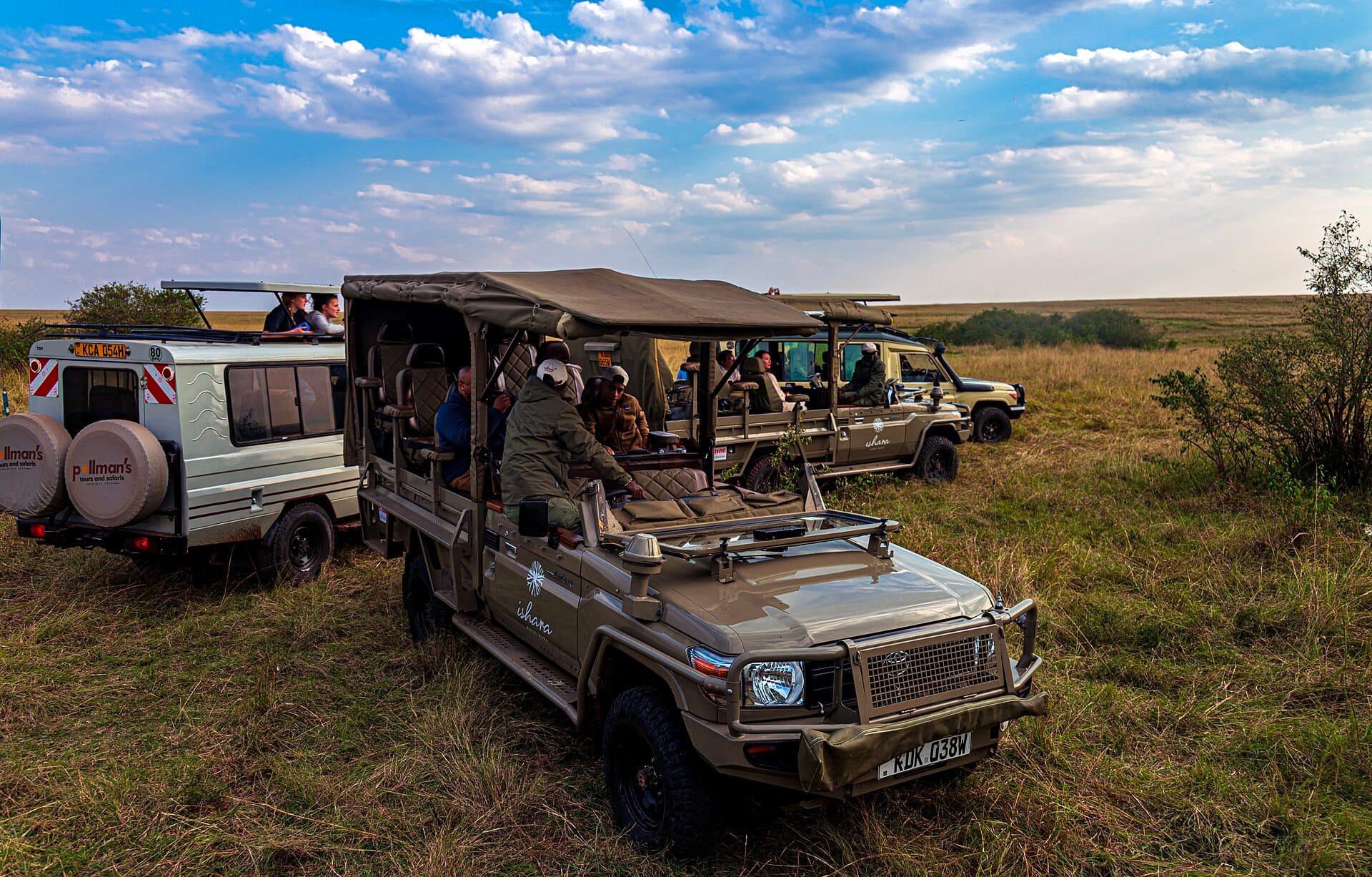 Diversi veicoli da safari parcheggiati nell'erba intorno a una coppia di leoni, con gli ospiti che guardano dal tetto aperto, Maasai Mara