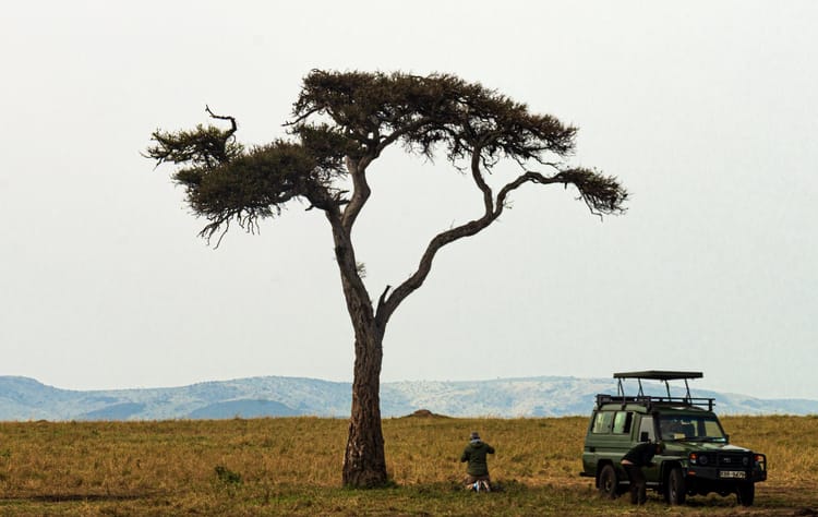 How much does a Maasai Mara safari actually cost? Every line item, from someone who runs a lodge here
