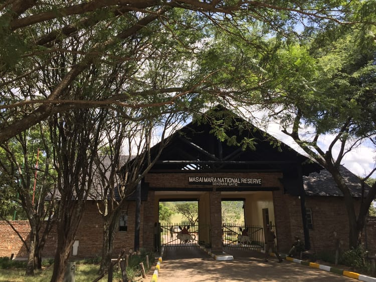 Maasai Mara park fees in 2026, and what the fee table doesn't tell you