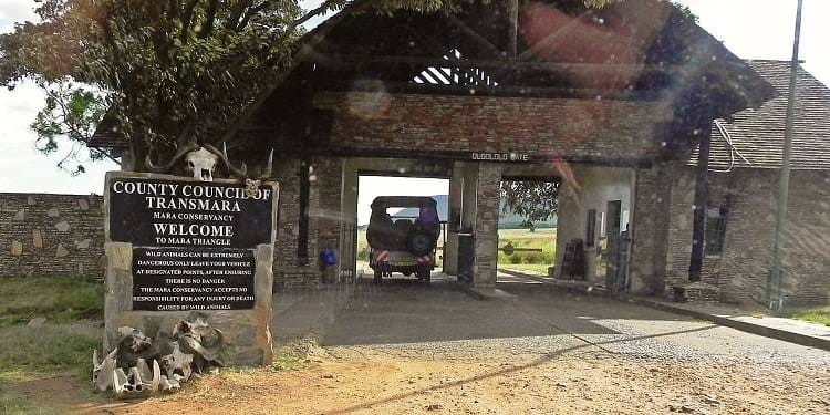 So, It’s Your First Mara Safari - Read This Before You Climb in the Jeep