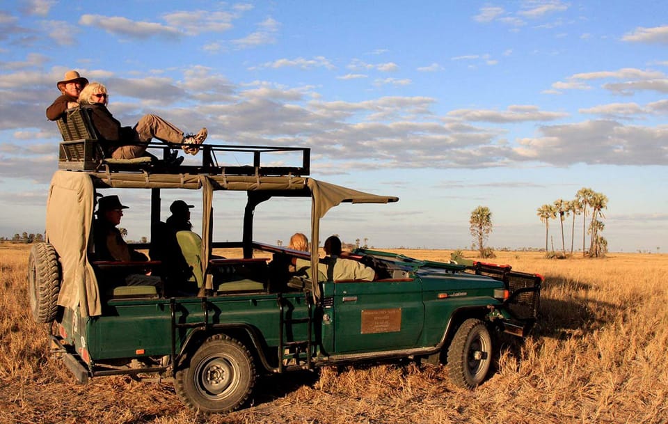 A Lazy Traveller's Safari Guide