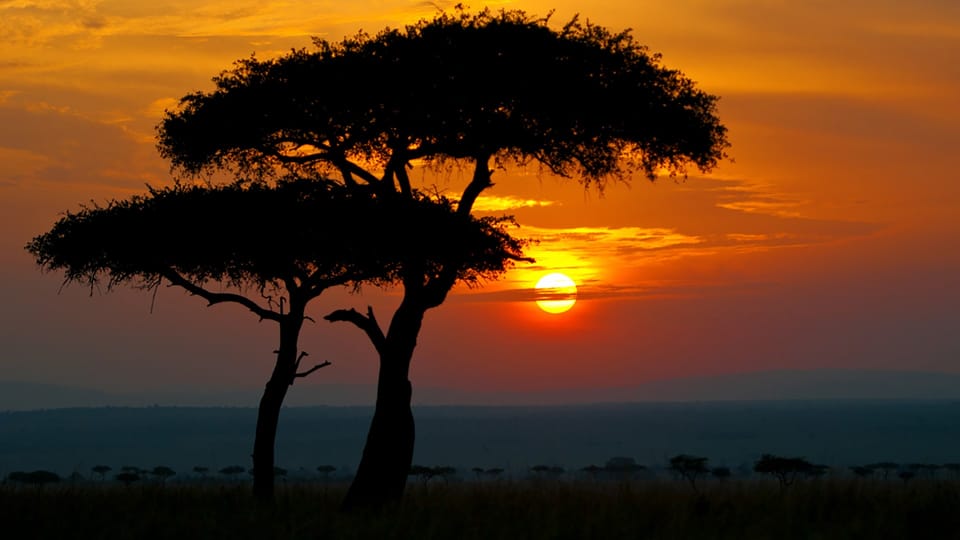 What the Mara has taught me about doing absolutely nothing - and why that's perfectly okay.
