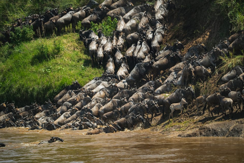 You Don't Need a Travel Agency to Visit Kenya. Here's How to Plan Your Own Safari