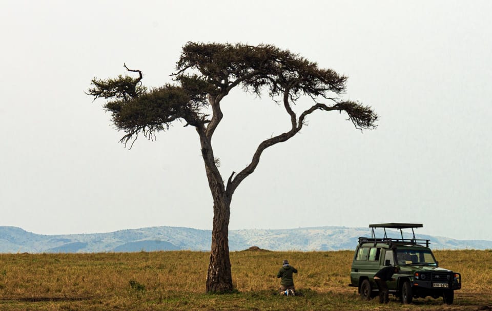 How much does a Maasai Mara safari actually cost? Every line item, from someone who runs a lodge here
